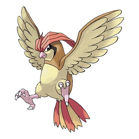 pidgeot serebii|pidgeotto bulbapedia.